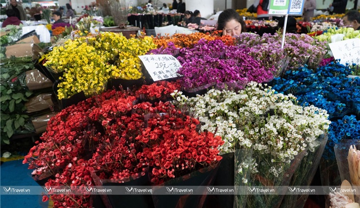 Tour du lịch Trung Quốc: Hà Khẩu –Thạch Lâm - Côn Minh – Kiệu Tử Sơn – Kiến Thuỷ 4N3Đ